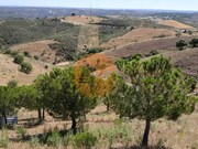 Terreno R�stico - Castro Marim, Castro Marim, Faro (Algarve) - Miniatura: 9/9
