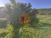 Terreno R�stico - Castro Marim, Castro Marim, Faro (Algarve) - Miniatura: 8/9