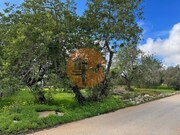 Terreno Urbano - S�o Br�s de Alportel, S�o Br�s de Alportel, Faro (Algarve) - Miniatura: 2/3