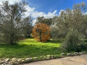 Terreno Urbano - S�o Br�s de Alportel, S�o Br�s de Alportel, Faro (Algarve) - Miniatura: 3/3