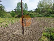 Terreno R�stico - Casal Comba, Mealhada, Aveiro - Miniatura: 4/9