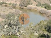 Terreno R�stico - Odeleite, Castro Marim, Faro (Algarve) - Miniatura: 7/9