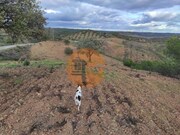 Terreno Urbano - Azinhal, Castro Marim, Faro (Algarve) - Miniatura: 2/9