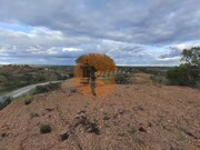 Terreno Urbano - Azinhal, Castro Marim, Faro (Algarve) - Miniatura: 9/9
