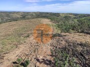 Terreno R�stico - Azinhal, Castro Marim, Faro (Algarve) - Miniatura: 5/9