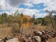 Terreno Rstico - Alte, Loul, Faro (Algarve) - Miniatura: 3/6