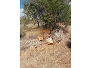 Terreno Rstico - Alte, Loul, Faro (Algarve) - Miniatura: 5/6