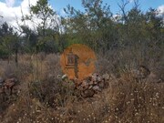 Terreno Rstico - Alte, Loul, Faro (Algarve) - Miniatura: 6/6