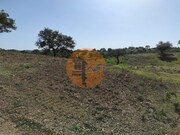 Terreno R�stico - Azinhal, Castro Marim, Faro (Algarve) - Miniatura: 6/9