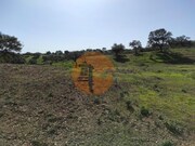 Terreno R�stico - Azinhal, Castro Marim, Faro (Algarve) - Miniatura: 7/9