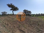 Terreno R�stico - Azinhal, Castro Marim, Faro (Algarve) - Miniatura: 8/9