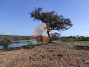 Terreno R�stico - Azinhal, Castro Marim, Faro (Algarve) - Miniatura: 9/9