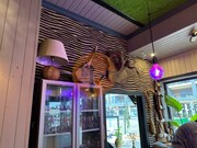 Com�rcio - Olh�o, Olh�o, Faro (Algarve) - Miniatura: 6/9