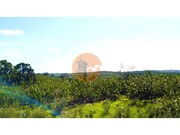 Terreno R�stico - Odeleite, Castro Marim, Faro (Algarve) - Miniatura: 6/9