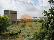 Terreno R�stico - S. Barbara Nexe, Faro, Faro (Algarve) - Miniatura: 1/9