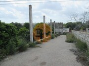 Terreno R�stico - S. Barbara Nexe, Faro, Faro (Algarve) - Miniatura: 2/9