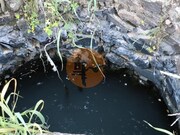 Terreno R�stico - Azinhal, Castro Marim, Faro (Algarve) - Miniatura: 4/9