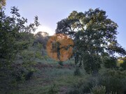 Terreno R�stico - Azinhal, Castro Marim, Faro (Algarve) - Miniatura: 5/9