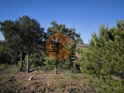 Terreno R�stico - Azinhal, Castro Marim, Faro (Algarve) - Miniatura: 9/9