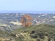 Terreno R�stico - Vila Nova de Cacela, Vila Real de Santo Ant�nio, Faro (Algarve) - Miniatura: 2/9