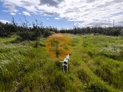 Hotel/Residencial - Azinhal, Castro Marim, Faro (Algarve) - Miniatura: 8/9