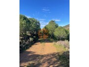 Terreno R�stico - Odeleite, Castro Marim, Faro (Algarve) - Miniatura: 2/9