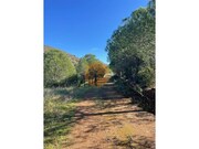 Terreno R�stico - Odeleite, Castro Marim, Faro (Algarve) - Miniatura: 3/9