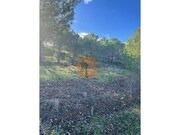 Terreno R�stico - Odeleite, Castro Marim, Faro (Algarve) - Miniatura: 7/9