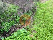 Terreno R�stico - Azinhal, Castro Marim, Faro (Algarve) - Miniatura: 2/9