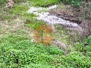 Terreno R�stico - Azinhal, Castro Marim, Faro (Algarve) - Miniatura: 6/9