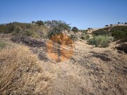 Terreno R�stico - Azinhal, Castro Marim, Faro (Algarve) - Miniatura: 8/9