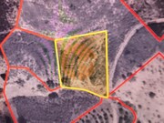 Terreno R�stico - Azinhal, Castro Marim, Faro (Algarve) - Miniatura: 9/9
