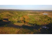Terreno R�stico - Azinhal, Castro Marim, Faro (Algarve) - Miniatura: 3/9