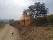 Terreno R�stico - Azinhal, Castro Marim, Faro (Algarve) - Miniatura: 4/9