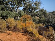 Terreno R�stico - Castro Marim, Castro Marim, Faro (Algarve) - Miniatura: 5/9