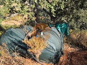 Terreno R�stico - Castro Marim, Castro Marim, Faro (Algarve) - Miniatura: 6/9