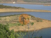 Terreno R�stico - Azinhal, Castro Marim, Faro (Algarve) - Miniatura: 6/9