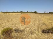 Terreno R�stico - Martim Longo, Alcoutim, Faro (Algarve) - Miniatura: 2/9