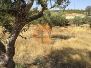 Terreno R�stico - Martim Longo, Alcoutim, Faro (Algarve) - Miniatura: 3/9
