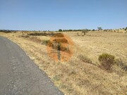 Terreno R�stico - Martim Longo, Alcoutim, Faro (Algarve) - Miniatura: 5/9