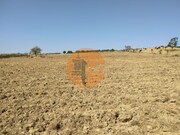 Terreno R�stico - Martim Longo, Alcoutim, Faro (Algarve) - Miniatura: 7/9