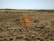 Terreno R�stico - Martim Longo, Alcoutim, Faro (Algarve) - Miniatura: 9/9