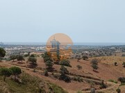 Terreno R�stico - Castro Marim, Castro Marim, Faro (Algarve) - Miniatura: 3/9