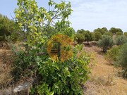 Terreno R�stico - Castro Marim, Castro Marim, Faro (Algarve) - Miniatura: 5/9