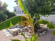 Moradia T3 - S�o Br�s de Alportel, S�o Br�s de Alportel, Faro (Algarve) - Miniatura: 6/9