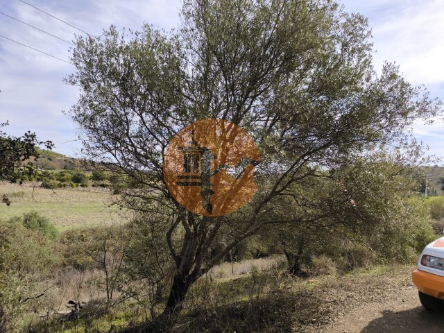 Terreno R�stico - Castro Marim, Castro Marim, Faro (Algarve) - Imagem grande