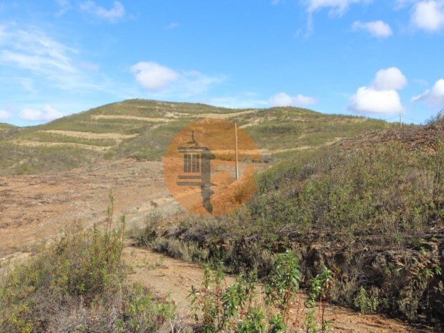 Terreno R�stico - Tavira, Tavira, Faro (Algarve) - Imagem grande