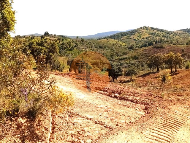 Terreno R�stico - Santa Catarina da Fonte do Bispo, Tavira, Faro (Algarve) - Imagem grande