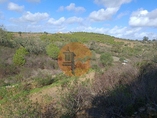 Terreno R�stico - Alcoutim, Alcoutim, Faro (Algarve) - Imagem grande