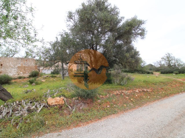 Terreno Urbano - Pech�o, Olh�o, Faro (Algarve) - Imagem grande